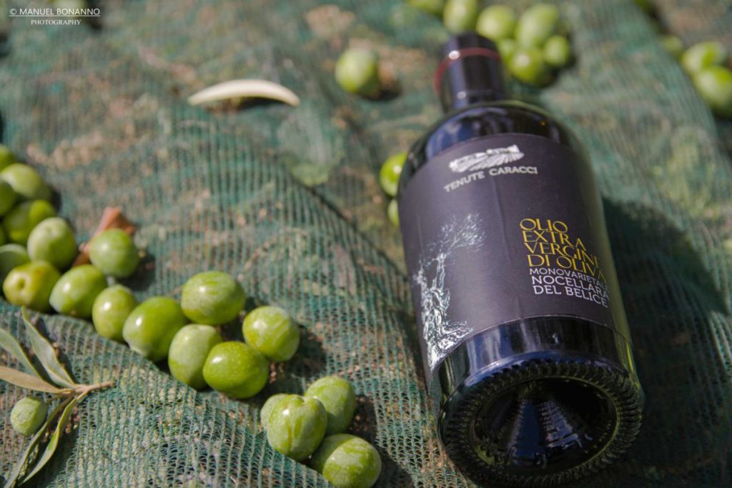 Nocellara del Belice: Olio dal Gusto Intenso con Numerosi Benefici e una Storia Ricca