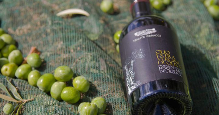 Nocellara del Belice: Olio dal Gusto Intenso con Numerosi Benefici e una Storia Ricca